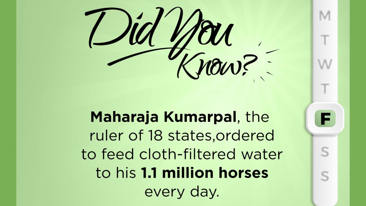 Filtered water to 1.1 million horses